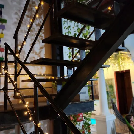Baboon Hostel-2